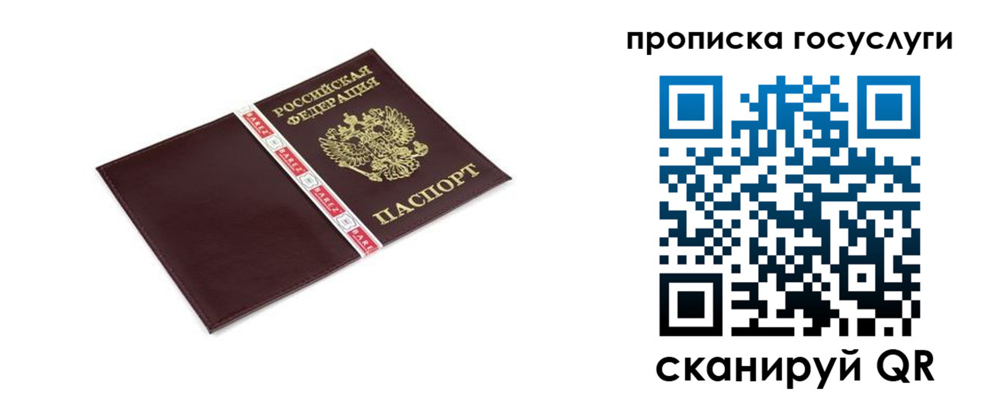 временная регистрация госуслуги в Александровске
